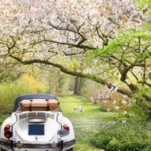 Meet your Posher, Dena